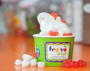 best frozen Yogurt Tampa
